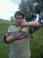 fish.webp