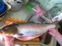 25062012113.webp