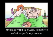 133987.webp