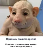 Свиной грипп.webp