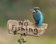 32668-102833-f718c1a1f4f3d15305d976237911bfe6.webp