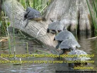 kotomatrix1341.webp
