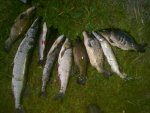 26062012829.jpg