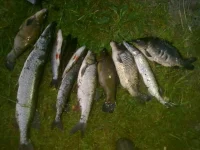 26062012829.webp