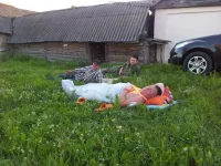 20120625_210732_1.webp