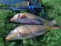 01072012123.webp