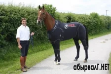 1341333959_vse-o-neoprene.webp