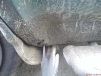DSC00373.webp