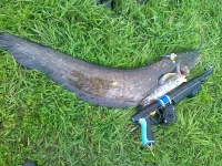 03072012100.webp