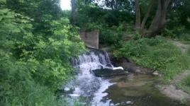 2012-06-24_11-59-19_498.webp