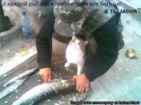 546644.webp