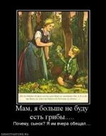 Грибы.webp