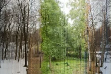 00814.webp