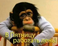пятница_1.webp