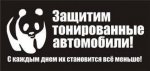 тонировка.jpg