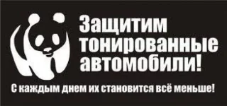 тонировка.webp