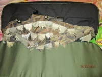 IMG_0826.jpg-1.webp