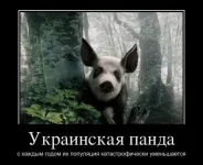 панда.webp