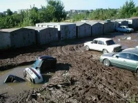 автоокурьезы.webp