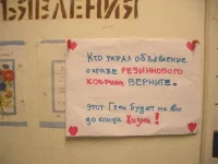 14.webp
