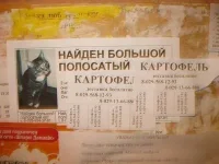 getImage.jpg36.jpg555.webp