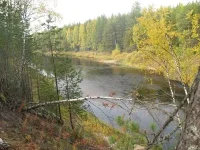 Image00005.webp