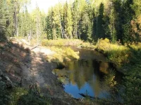Image00010.webp
