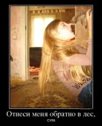 Ежик..webp