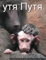 Путя..webp