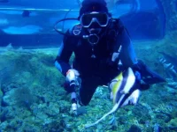 P7170158.webp