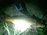 19072012139.webp
