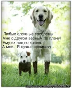 Друзья..webp