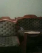 IMG0132A.webp