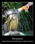 3.webp