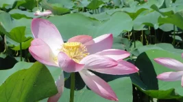 DSC03125-1.webp