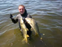 100_0363-4.webp