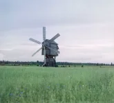 00008380_medium.webp