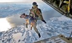 Doggie_Paratrooper,_EuroPics.jpg