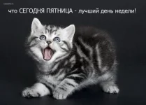 0c2ab79cabeb1b8751fd85c9148.webp