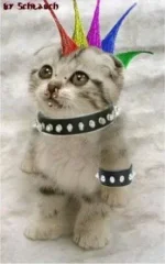 пн_сегодня я выгляжу так.webp