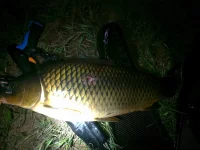 19072012138.webp