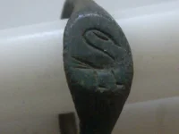 IMGP5567.webp