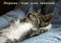 вт1.webp