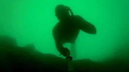 diveh2.mp4_snapshot_00.38_[2012.07.25_13.02.56].webp