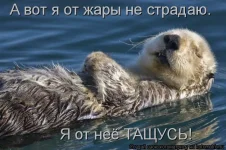 kotomatrix1375.webp
