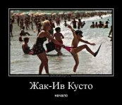 Кусто.webp