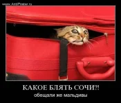 Сочи.webp