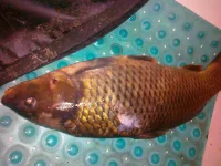 02082012157.webp