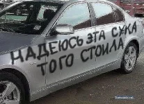 auto-008.webp