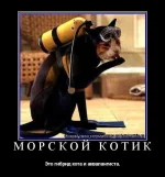 H.webp